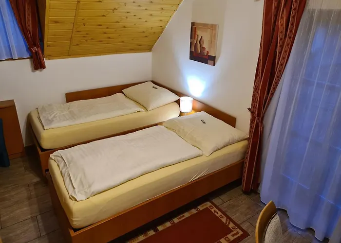 Ferdinand Gasthuis 3*